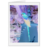 Parrot Pop Art (Front)