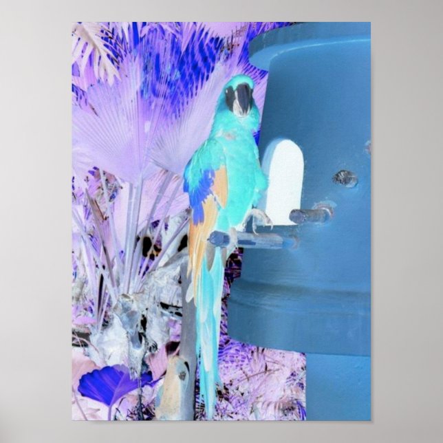 Parrot Pop Art Poster (Front)