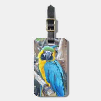 Parrot Portrait Luggage Tag