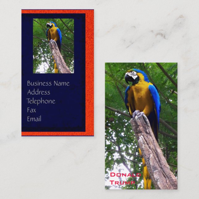 Parrot Pose ~ Business Card (Front/Back)