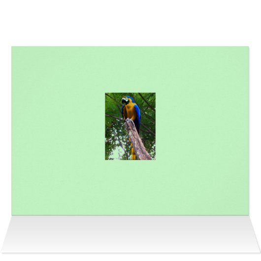 Parrot Pose ~ Card (Inside Horizontal (Top))