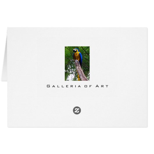 Parrot Pose ~ Card (Back Horizontal)