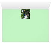 Parrot Pose ~ Card (Inside Horizontal (Bottom))