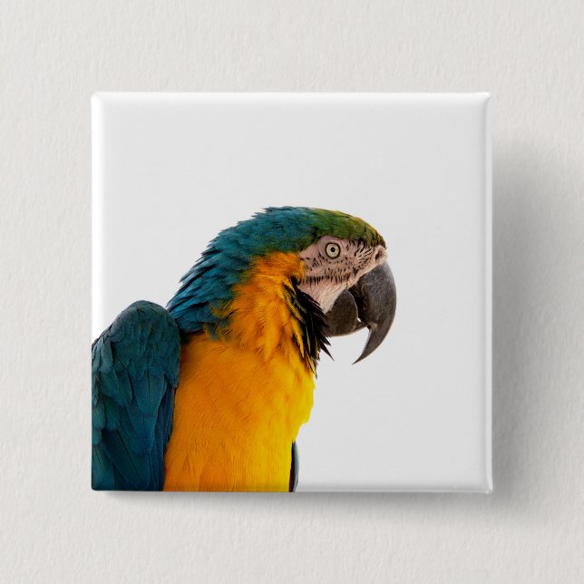 Parrot Post-it Notes Button (Front)