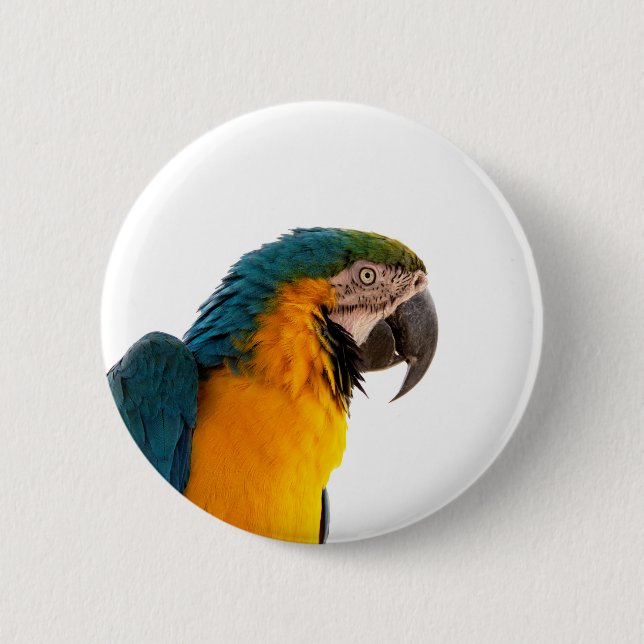 Parrot Post-it Notes Button (Front)
