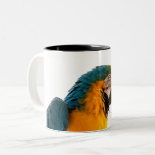 Parrot Post-it Notes Two-Tone Coffee Mug