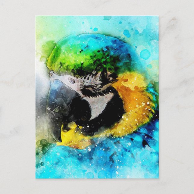 Parrot Postcard (Front)