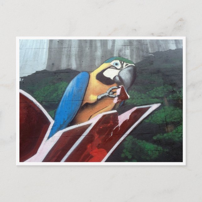 parrot postcard (Front)