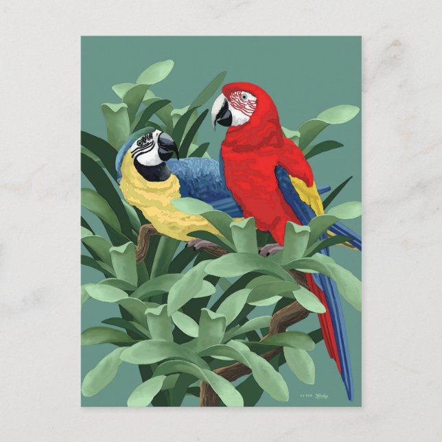 Parrot Postcards (Front)