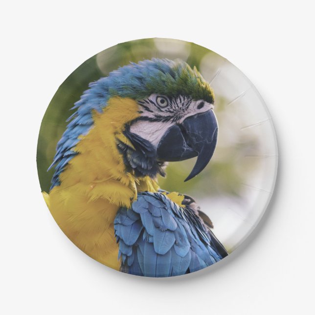 Parrot Profile Portrait Photograph Paper Plates (Front)