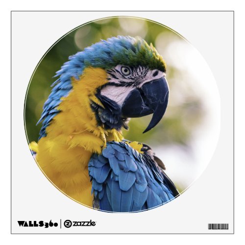 Parrot Profile Portrait Photograph Wall Sticker