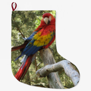 Parrot Red Macaw Bird Colorful Large Christmas Stocking