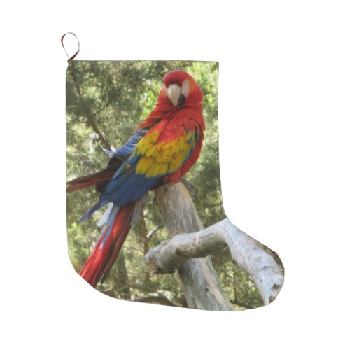Parrot Red Macaw Bird Colorful Large Christmas Stocking
