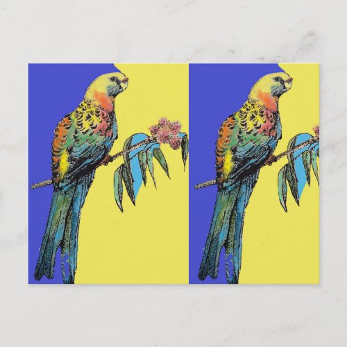 Parrot Rosella Watercolour Painting bird Postcard