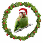 Parrot Santa Cutout<br><div class="desc">This Christmas ornament features a cherry headed conure parrot in a Santa hat sitting inside a Christmas wreath</div>
