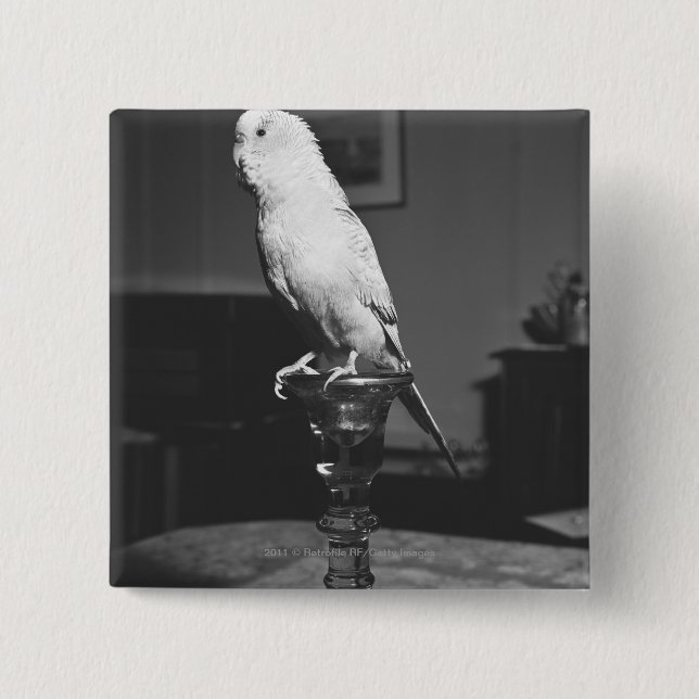 Parrot sitting on candlestick B&W Button (Front)