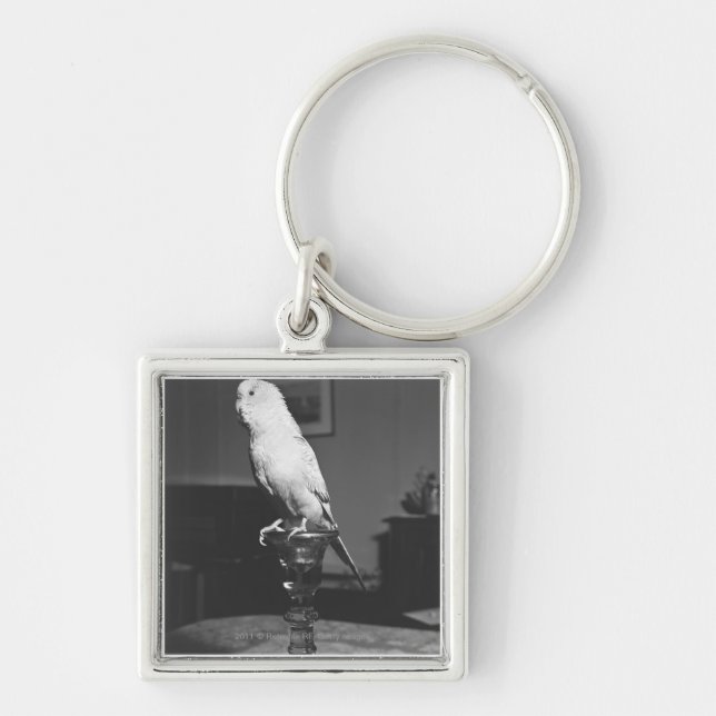 Parrot sitting on candlestick B&W Keychain (Front)