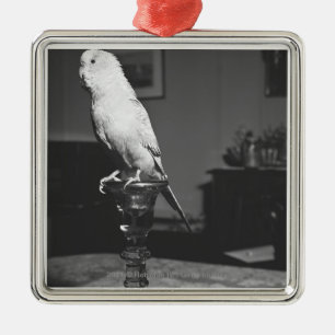Parrot sitting on candlestick B&W Metal Ornament