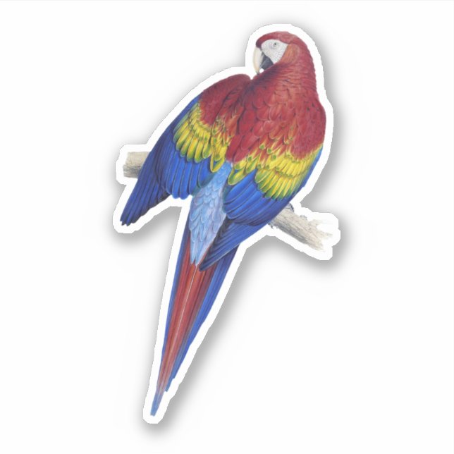 Parrot Sticker (Front)