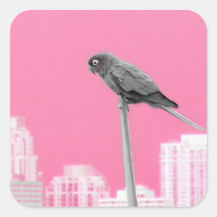 ~Parrot~ STICKER, ADVERTISE, CUSTOMIZE Square Sticker