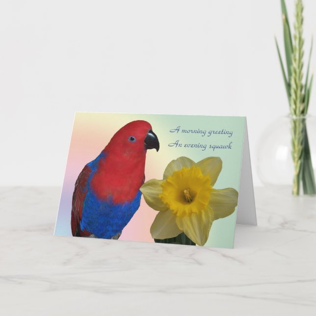 Parrot Sympathy Card (Front)