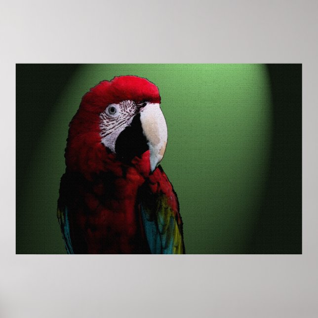 Parrot Talk 36 x 24 Poster (Front)