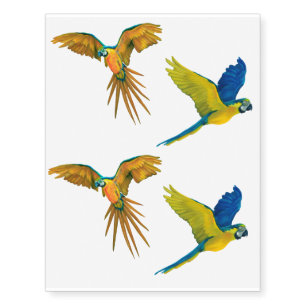 Parrot Temporary Tattoos
