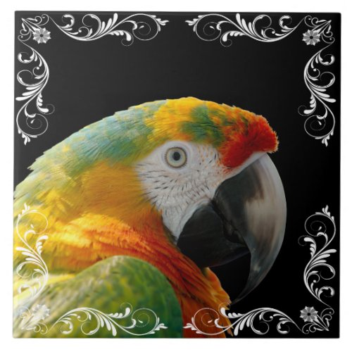 PARROT TILE