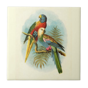 PARROT TROPICAL BIRD 10 CERAMIC TILE