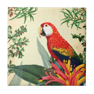PARROT TROPICAL BIRD 8 CERAMIC TILE