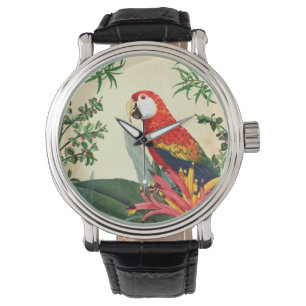 PARROT TROPICAL BIRD 8  WATCH