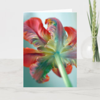 parrot tulip card