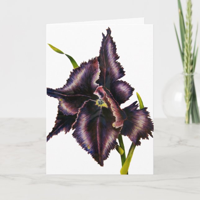 Parrot Tulip Card (Front)