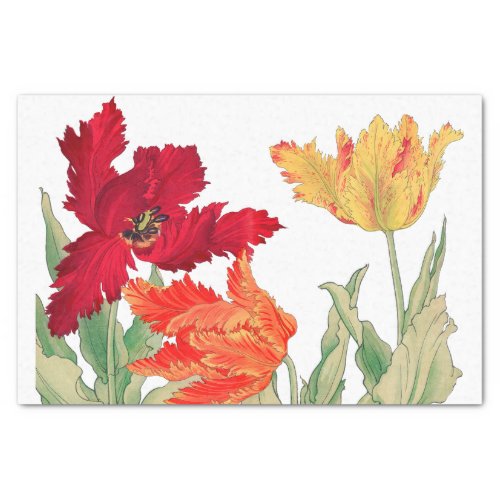 Parrot tulip Floral Decoupage Tissue Paper