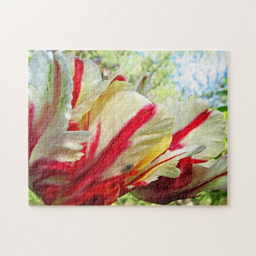 Parrot Tulip Floral Jigsaw Puzzle