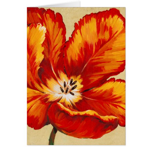 Parrot Tulip I Cards (Front)