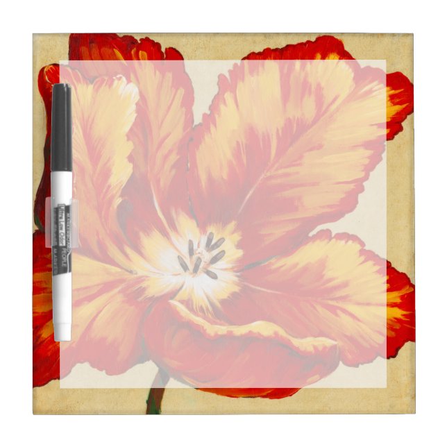 Parrot Tulip I Dry Erase Board (Front)