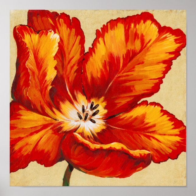 Parrot Tulip I Poster (Front)