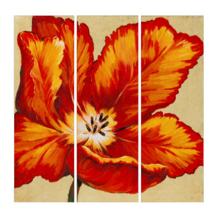 Parrot Tulip I Triptych