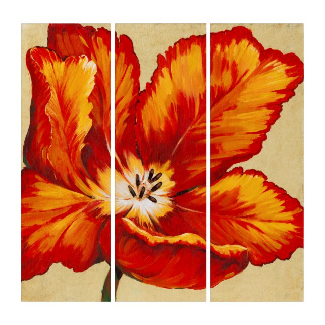 Parrot Tulip I Triptych (Front)