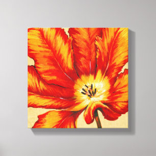 Parrot Tulip II Canvas Print