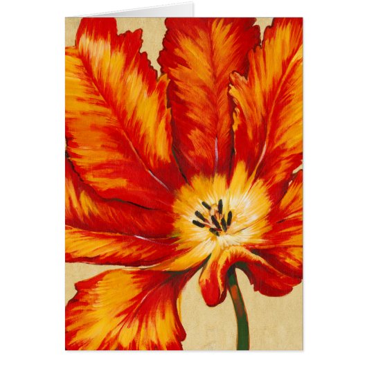 Parrot Tulip II Cards (Front)