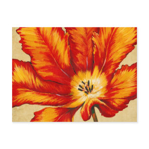 Parrot Tulip II Postcard