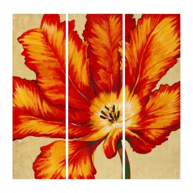 Parrot Tulip II Triptych (Front)