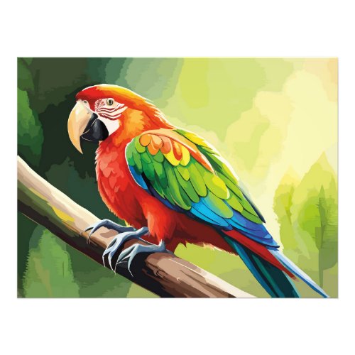 Parrot Watercolor Art and Illustrations Photo Print