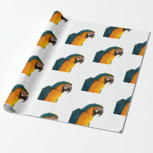 Parrot wrapping paper