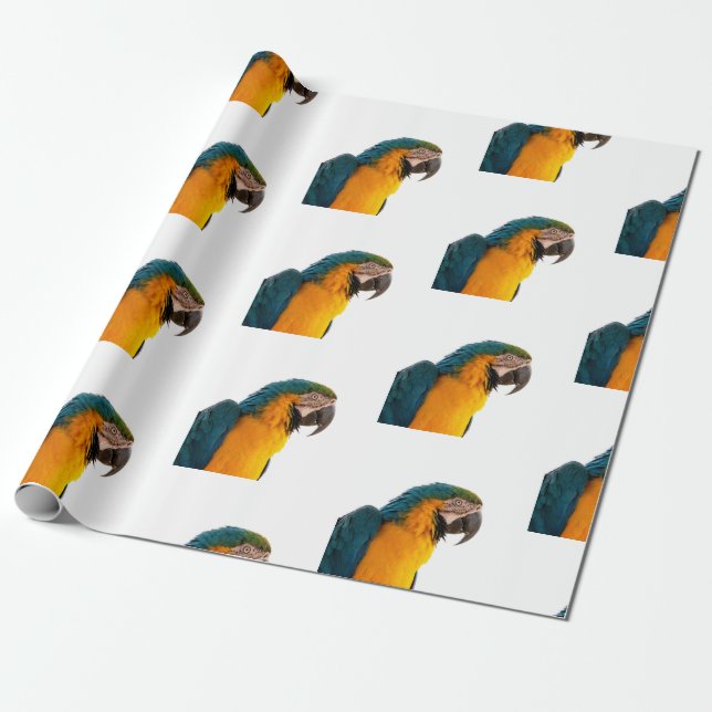 Parrot   wrapping paper (Unrolled)