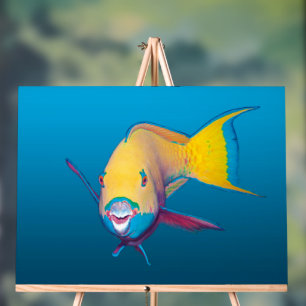 Parrotfish Close-up! Gradient blue background    Acrylic Sign
