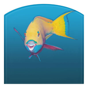Parrotfish Close-up! Gradient blue background    Door Sign