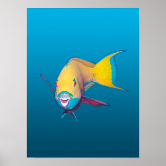 Parrotfish Close-up! Gradient blue background |  Poster